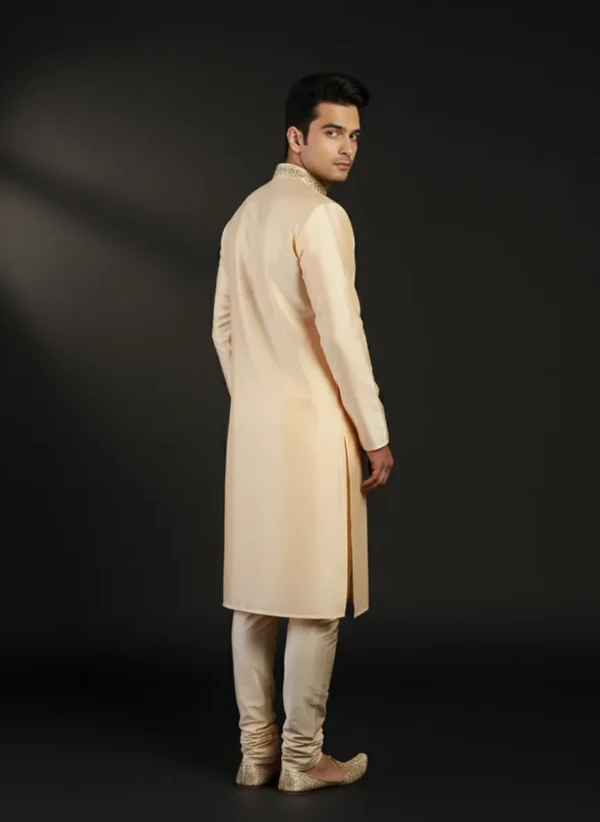 Shaan Beige - Image 4