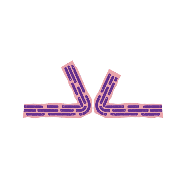 Bloom Code - Image 8